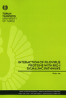 Interaction of filovirus proteins with RIG-I signaling pathways ﻿