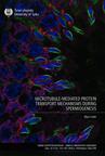Microtubule-Mediated Protein Transport Mechanisms During Spermiogenesis